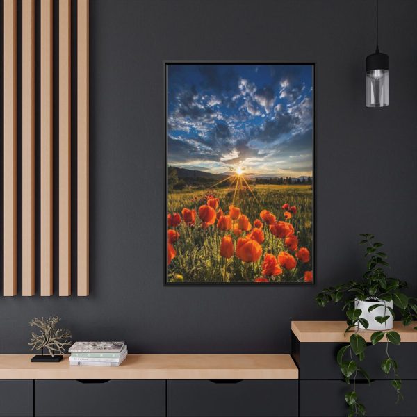 Sunset in Field With Red Wild Flowers Framed Canvas