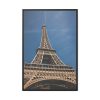 88299-6.jpg Eiffel Tower in Paris II Framed Canvas