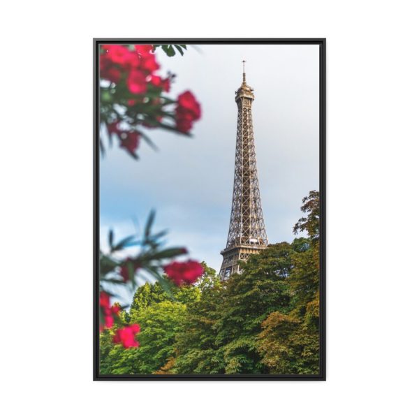 88299-60.jpg Paris in Nature Framed Canvas