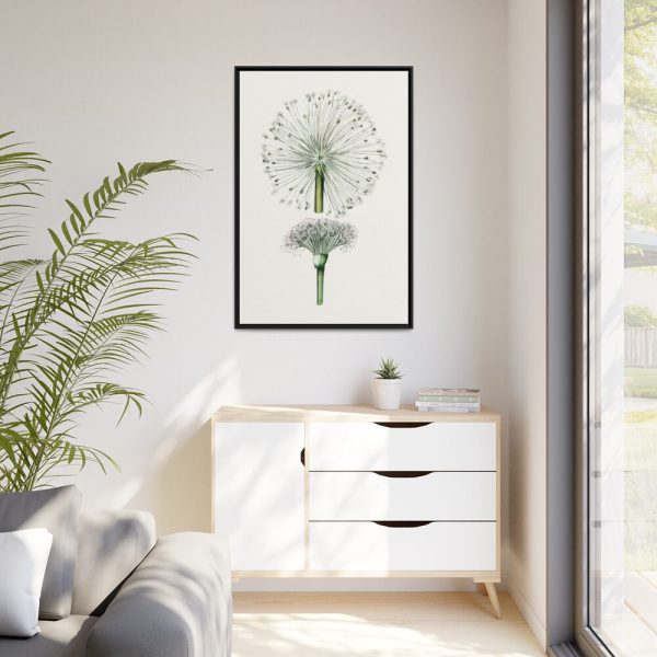 88299-67.jpg Hand Drawn White Blood Lily Framed Canvas