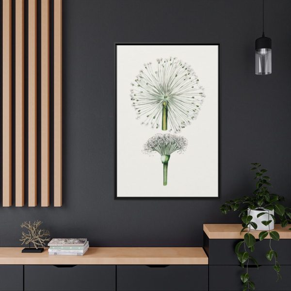 88299-68.jpg Hand Drawn White Blood Lily Framed Canvas