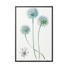 88299-70.jpg Blue Leek from Edwards’s Botanical Register Framed Canvas