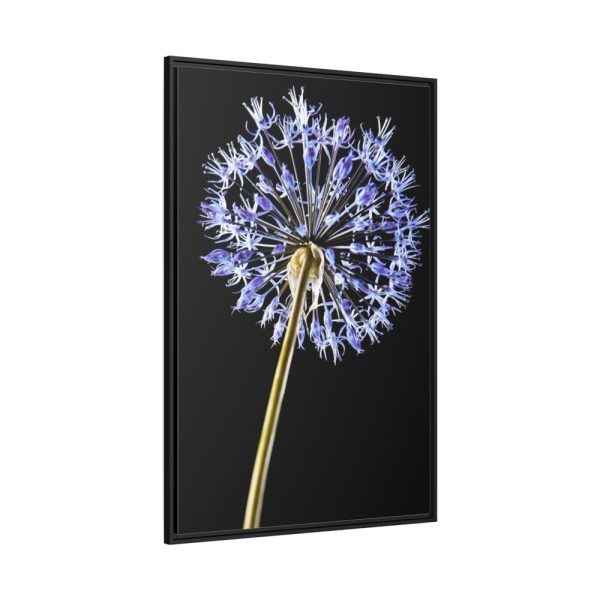 88299-74.jpg Dandelion on Black Framed Canvas