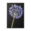 88299-75.jpg Dandelion on Black Framed Canvas
