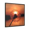 88302-35.jpg Dandelion in Sunset Framed Canvas
