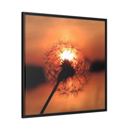 Dandelion in Sunset Framed Canvas