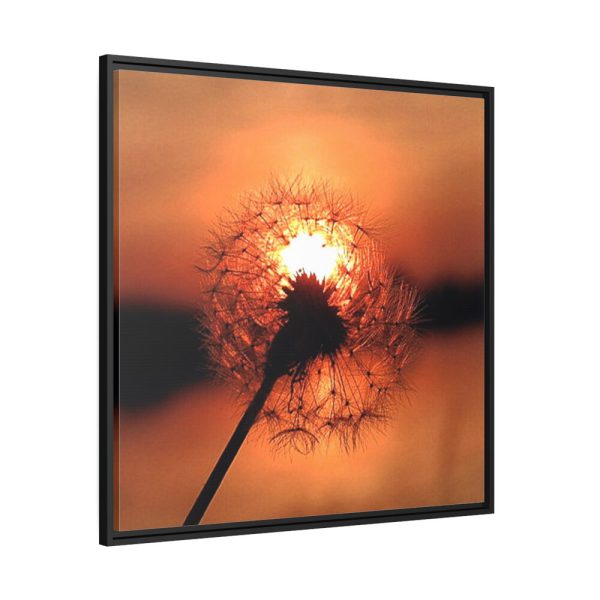 88302-35.jpg Dandelion in Sunset Framed Canvas