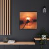88302-39.jpg Dandelion in Sunset Framed Canvas