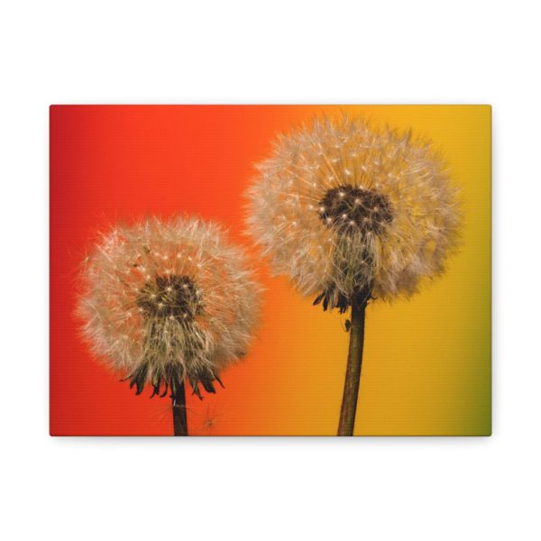 Dandelion on Yellow Background Standard Canvas