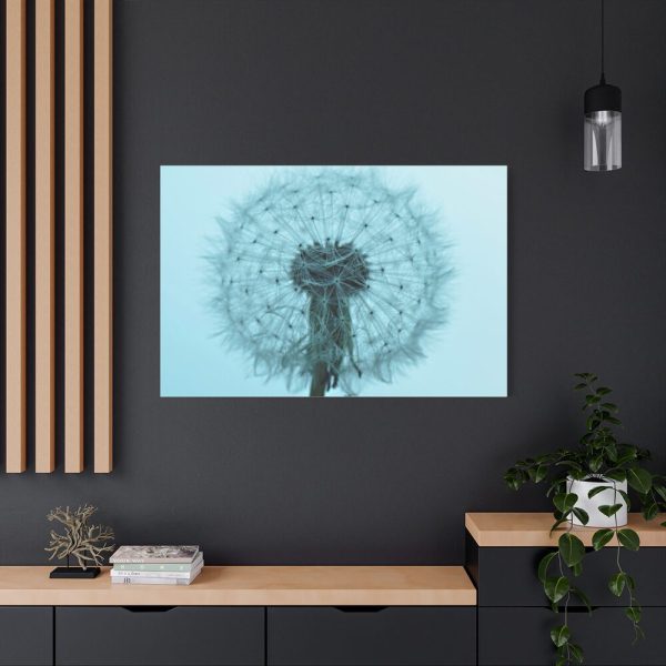 91638-103.jpg Dandelion Puffball Puff Standard Canvas
