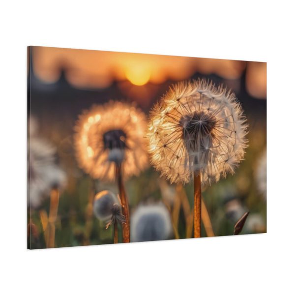 91638-105.jpg Dandelion Blossom Flower Standard Canvas