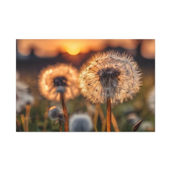 91638-106.jpg Dandelion Blossom Flower Standard Canvas