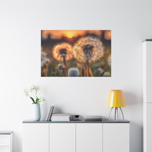 91638-107.jpg Dandelion Blossom Flower Standard Canvas