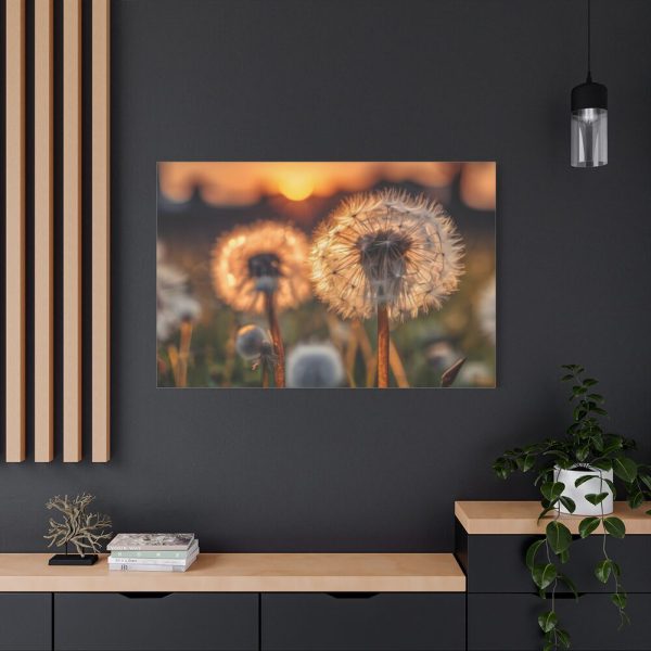 91638-108.jpg Dandelion Blossom Flower Standard Canvas