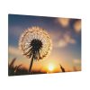 91638-110.jpg Dandelion in Golden Hour Standard Canvas