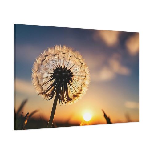 91638-110.jpg Dandelion in Golden Hour Standard Canvas