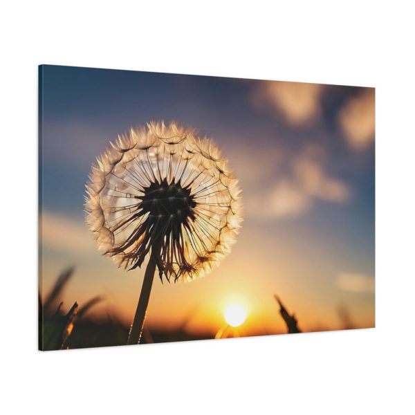 91638-110.jpg Dandelion in Golden Hour Standard Canvas
