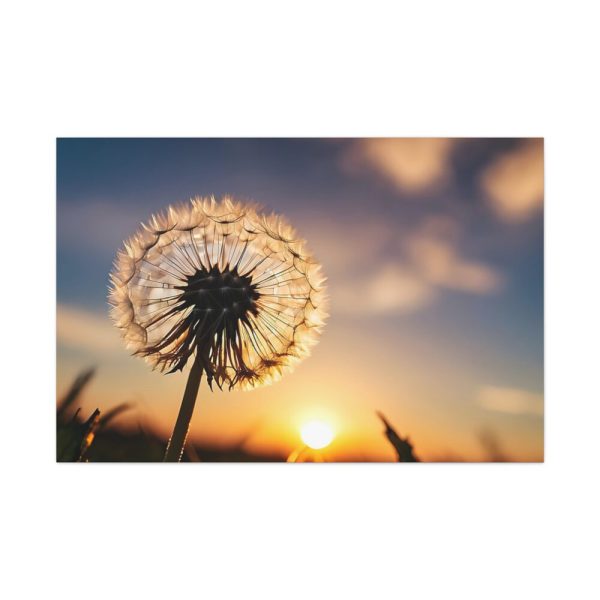 91638-111.jpg Dandelion in Golden Hour Standard Canvas