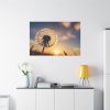 91638-112.jpg Dandelion in Golden Hour Standard Canvas