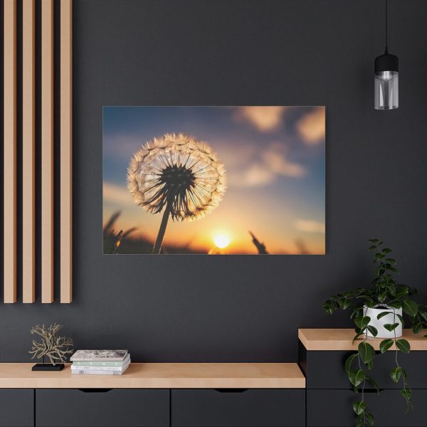 91638-113.jpg Dandelion in Golden Hour Standard Canvas