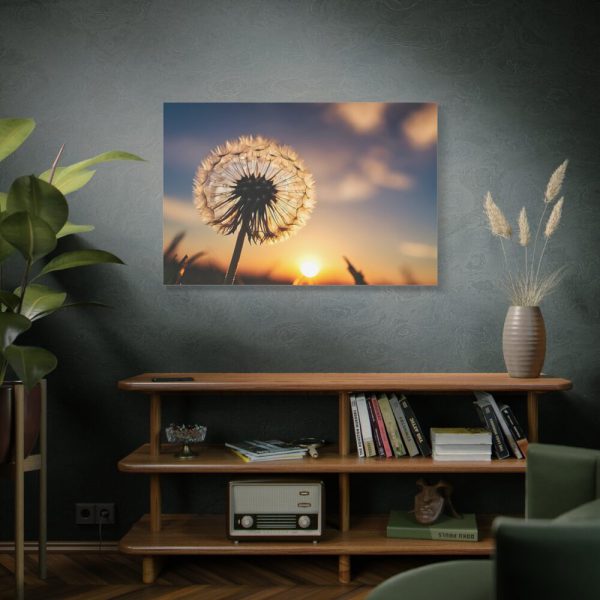 91638-114.jpg Dandelion in Golden Hour Standard Canvas