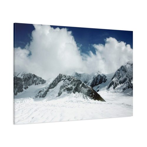 91638-170.jpg Mount McKinley or Denali Standard Canvas