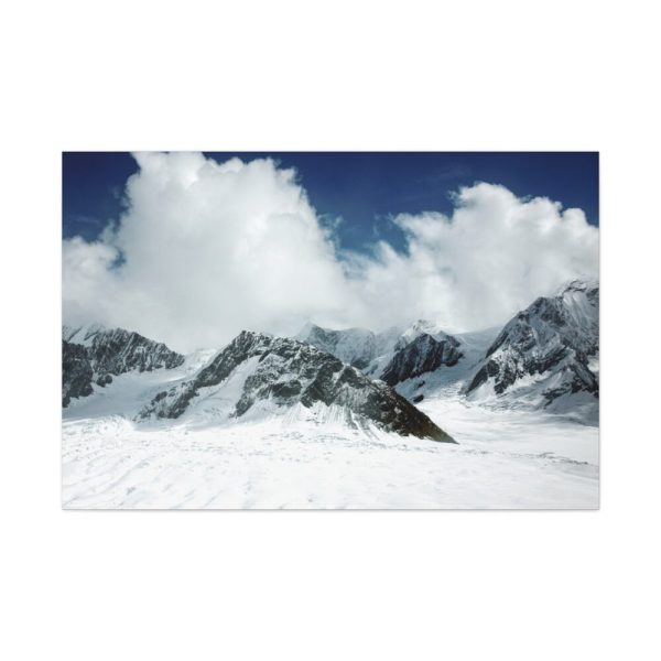 91638-171.jpg Mount McKinley or Denali Standard Canvas