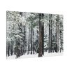 91638-185.jpg Old Mammoth Road Standard Canvas