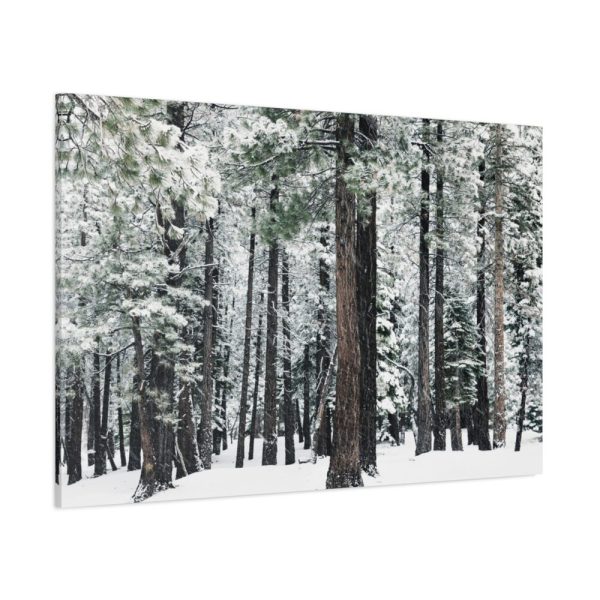 91638-185.jpg Old Mammoth Road Standard Canvas