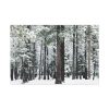 91638-186.jpg Old Mammoth Road Standard Canvas