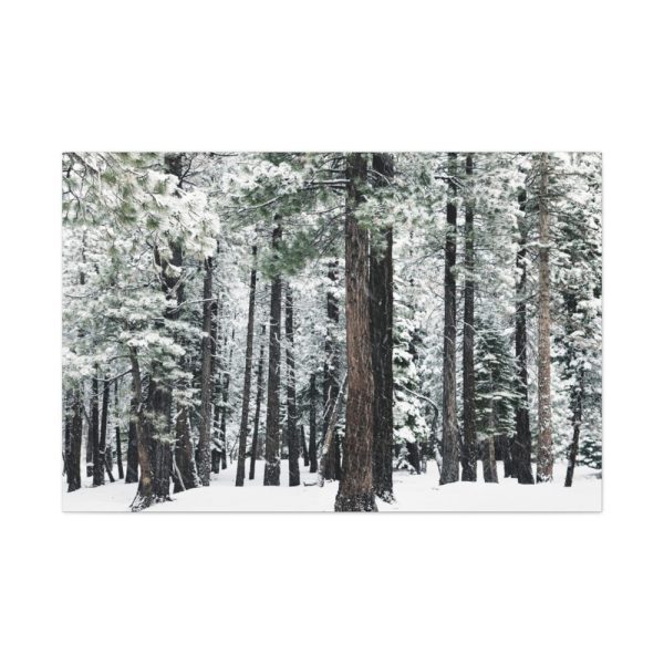 91638-186.jpg Old Mammoth Road Standard Canvas
