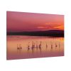 91638-250.jpg Sunset Leaves Silhouette Standard Canvas