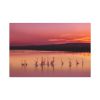 91638-251.jpg Sunset Leaves Silhouette Standard Canvas