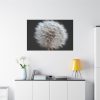 91638-67.jpg Closeup of Dandelion II Standard Canvas