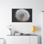 Closeup of Dandelion II Standard Canvas - Image 3