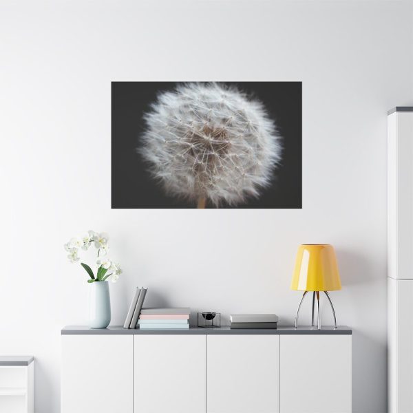 91638-67.jpg Closeup of Dandelion II Standard Canvas