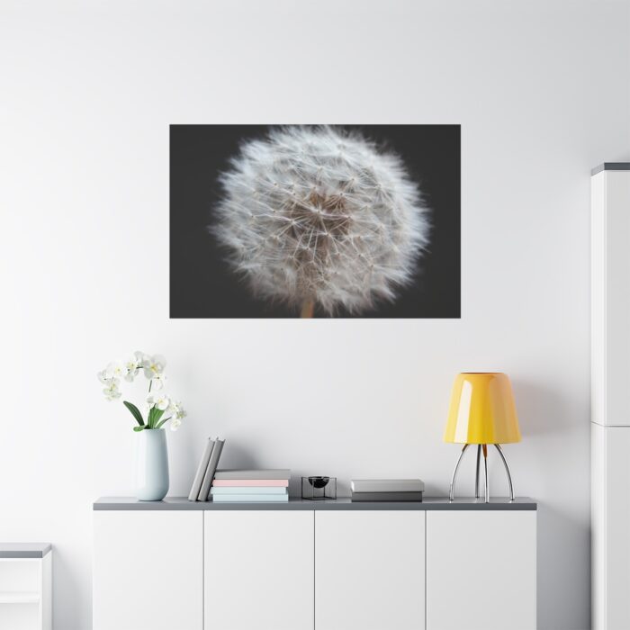 Closeup of Dandelion II Standard Canvas - Image 3