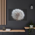 Closeup of Dandelion II Standard Canvas - Image 4