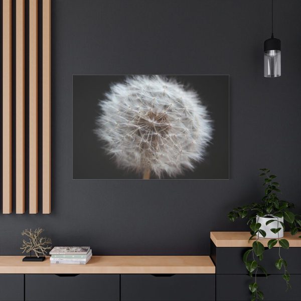 91638-68.jpg Closeup of Dandelion II Standard Canvas