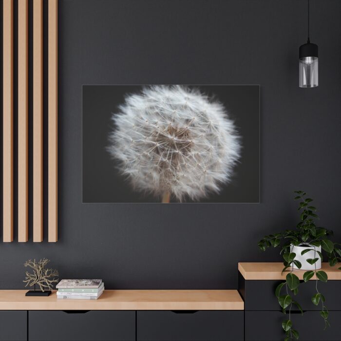 Closeup of Dandelion II Standard Canvas - Image 4