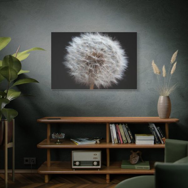91638-69.jpg Closeup of Dandelion II Standard Canvas