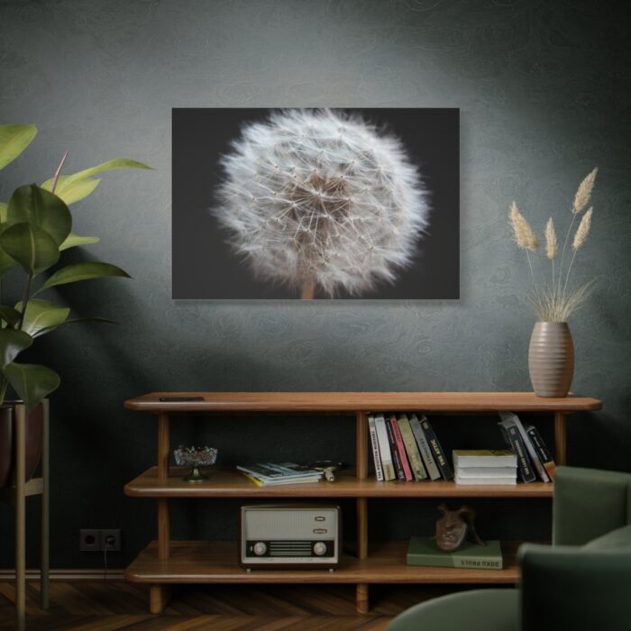 Closeup of Dandelion II Standard Canvas - Image 5