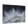 91638-70.jpg Macro Flower Detail Standard Canvas