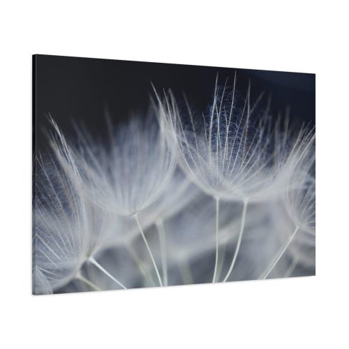 91638-70.jpg Macro Flower Detail Standard Canvas