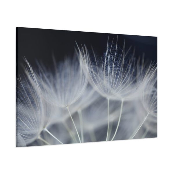 91638-70.jpg Macro Flower Detail Standard Canvas