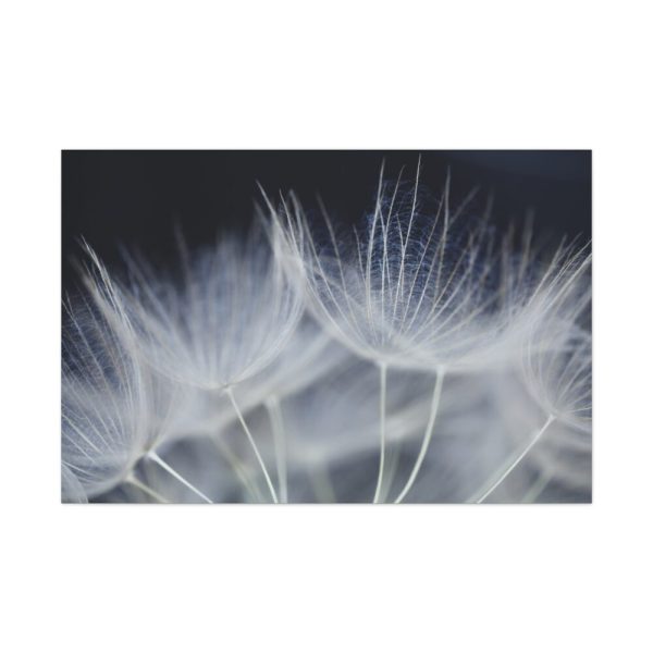 91638-71.jpg Macro Flower Detail Standard Canvas