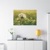 91638-77.jpg Dandelion in Dewey Grassy Area Standard Canvas