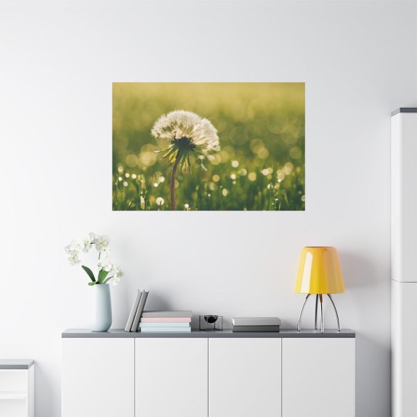 91638-77.jpg Dandelion in Dewey Grassy Area Standard Canvas