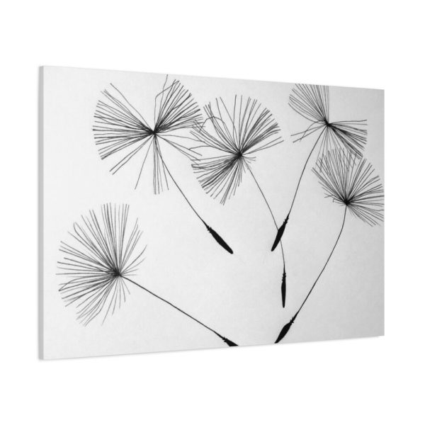 91638-80.jpg Dandelion Seeds Standard Canvas