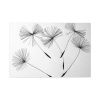 91638-81.jpg Dandelion Seeds Standard Canvas